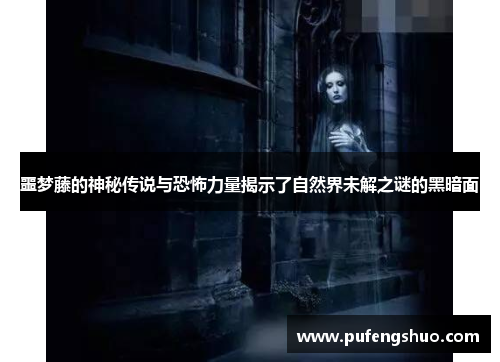 噩梦藤的神秘传说与恐怖力量揭示了自然界未解之谜的黑暗面 噩梦藤的神秘传说与恐怖力量揭示了自然界未解之谜的黑暗面